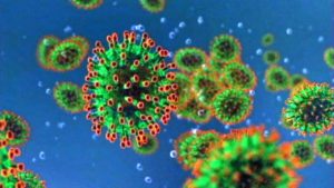 corona virus